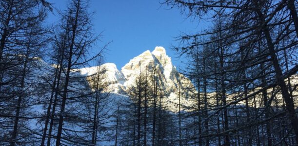 CERVINIA BILOCALE RISTRUTTURATO