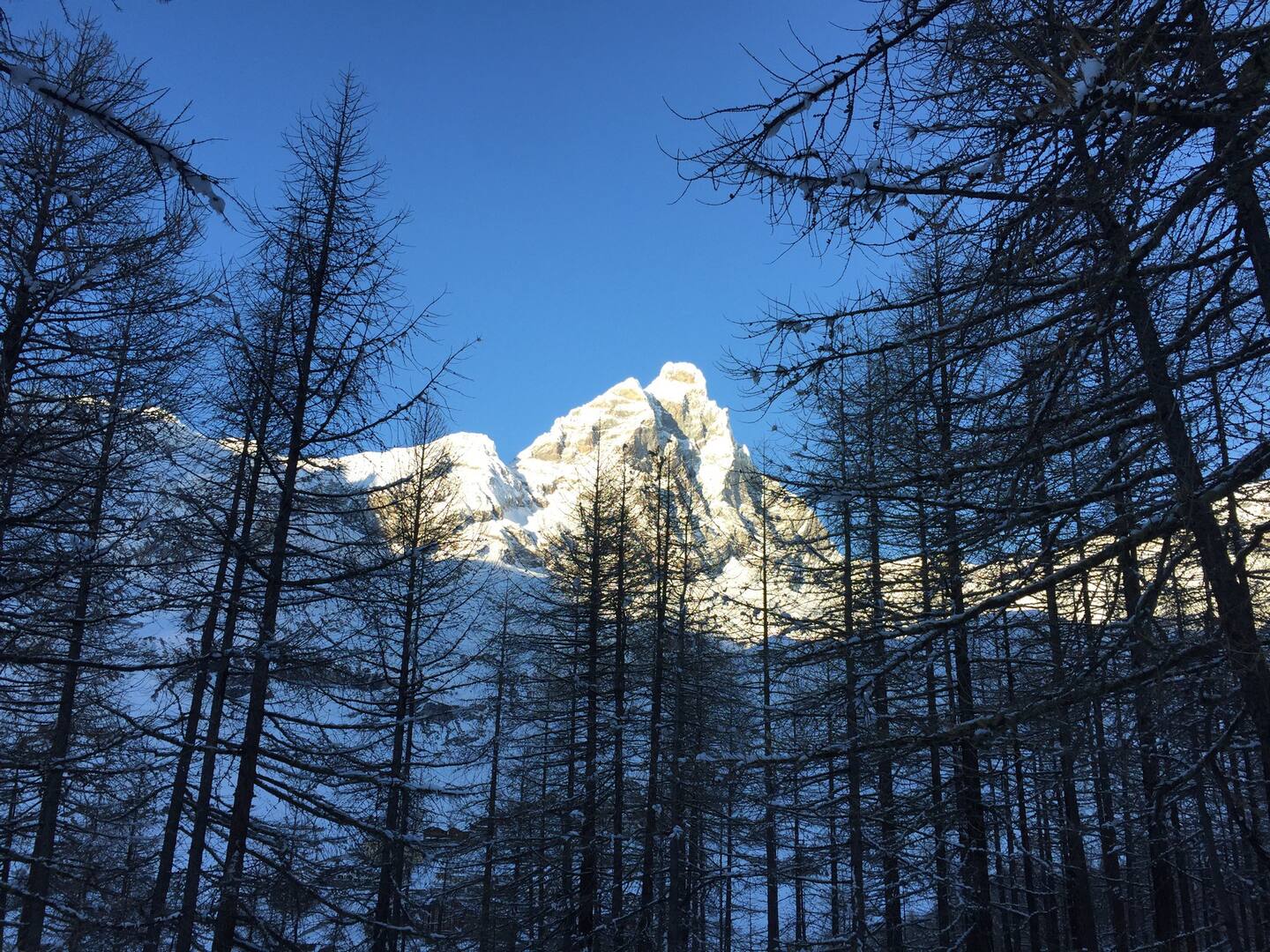 CERVINIA BILOCALE RISTRUTTURATO